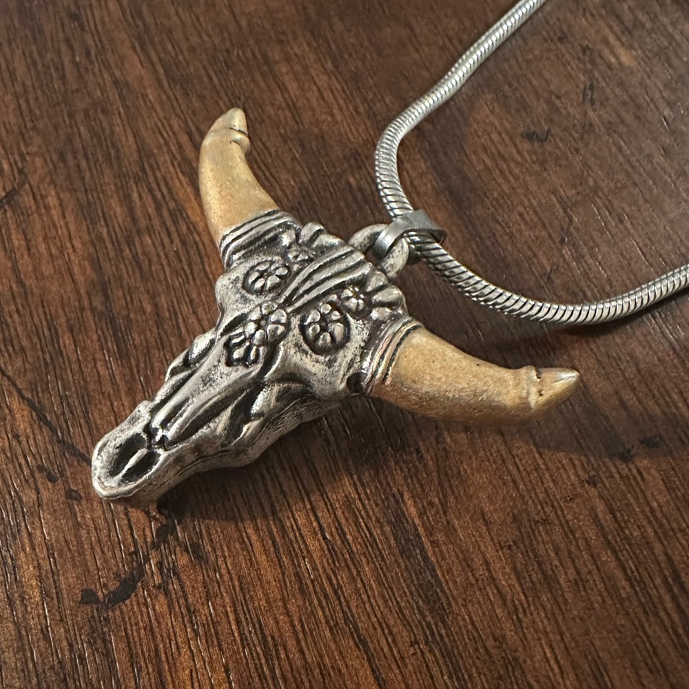 Alex & Ani Spirited Skull, large, two tone necklace